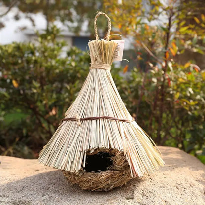 Natural Bird's Nest 
