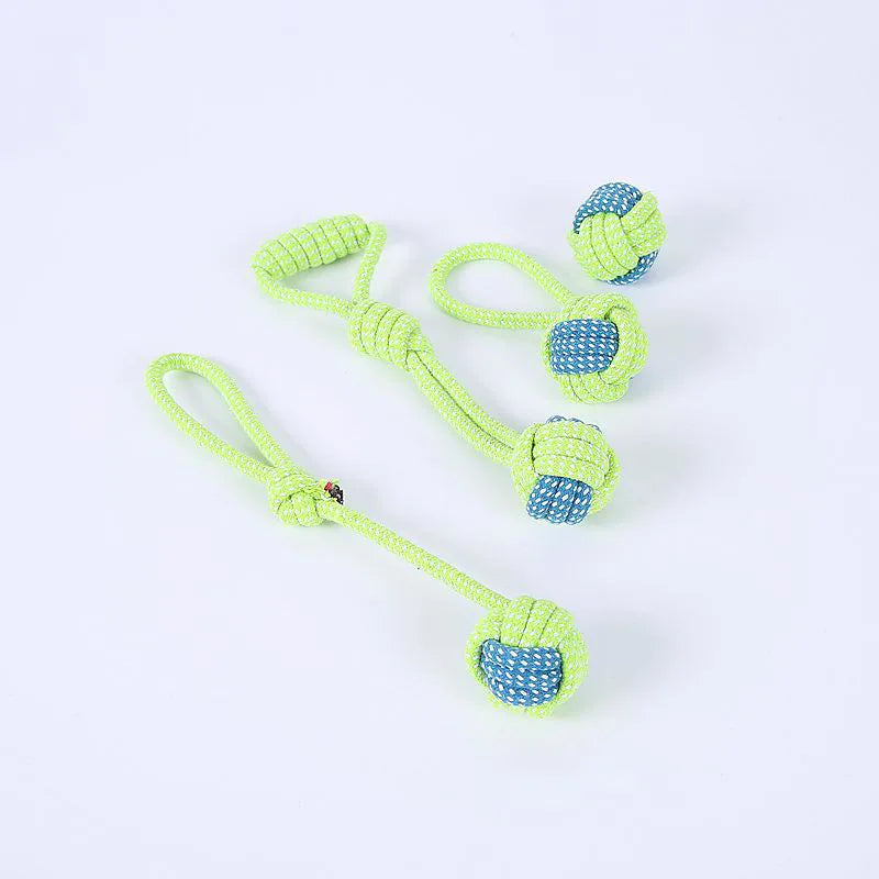 Interactive toys for companion dogs 