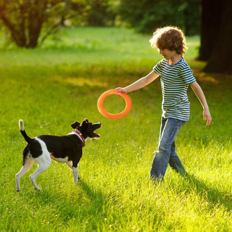 Dog training ring 