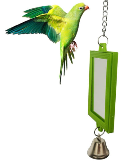 Mirrors for birds with bells 
