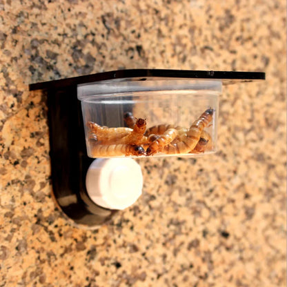 Water feeding bowl for pets 