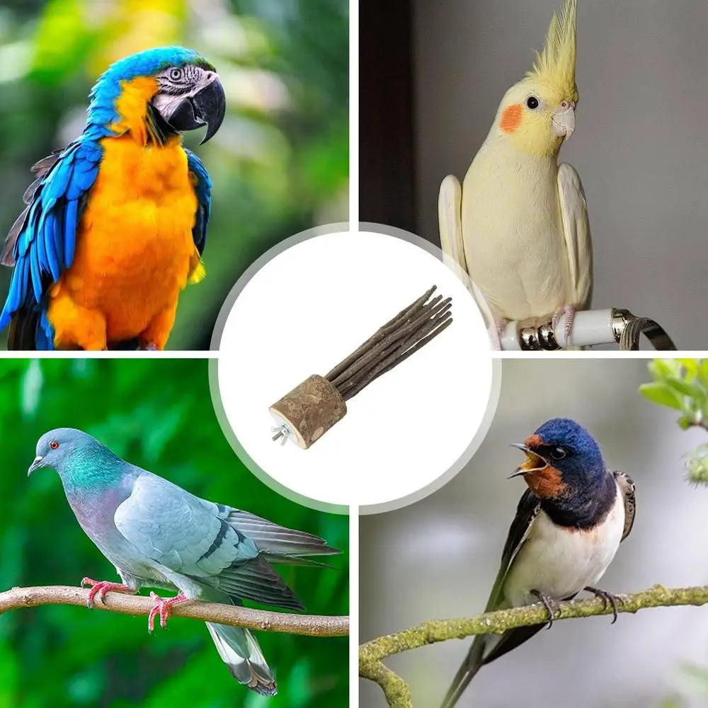 Natural wood parrot stand 