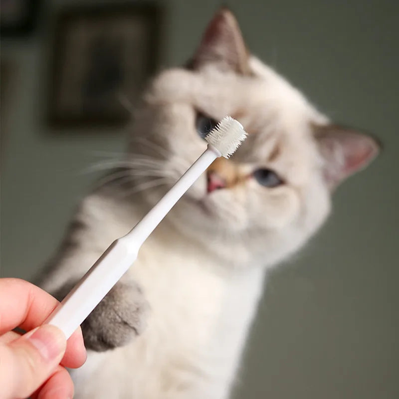 Soft toothbrush for cat 