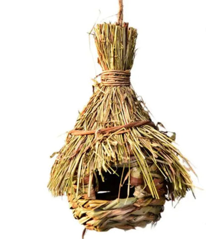 Natural Bird's Nest 