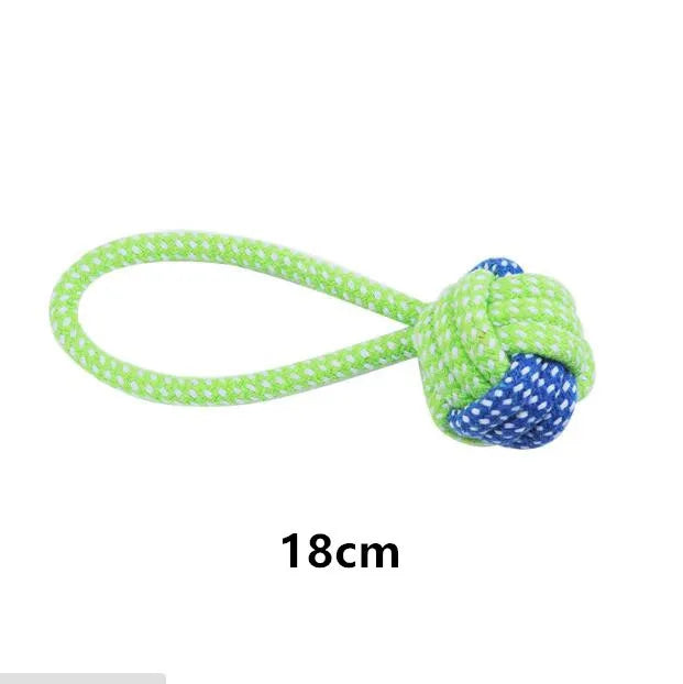 Interactive toys for companion dogs 