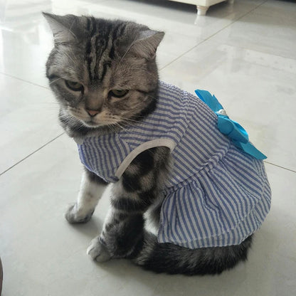 Princess dress for pets 