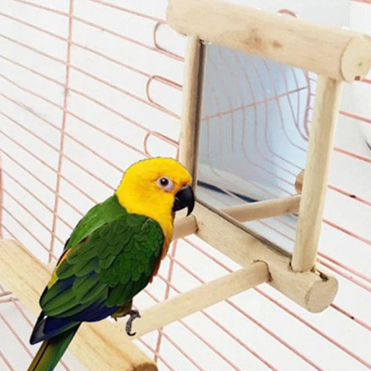 Bird mirror toy 