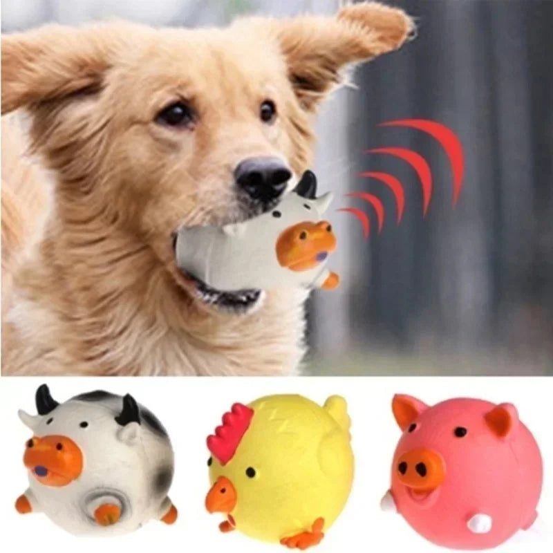 Vocal toy for pet dog 