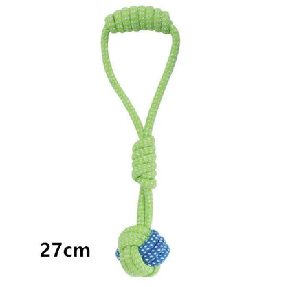 Interactive toys for companion dogs 