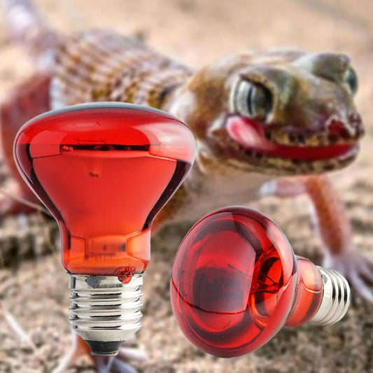 Red heat lamp for pets 