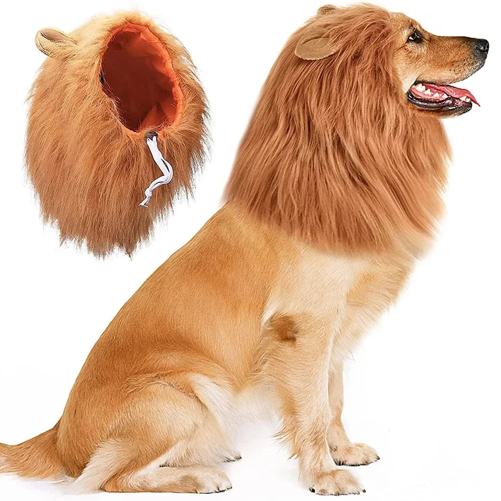Cute cosplay outfits for pet dogs 