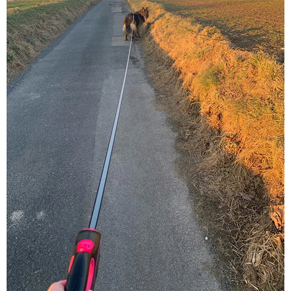 Retractable leash for dog 