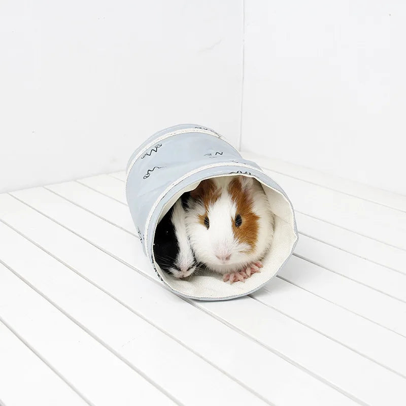 Guinea pig tunnel 