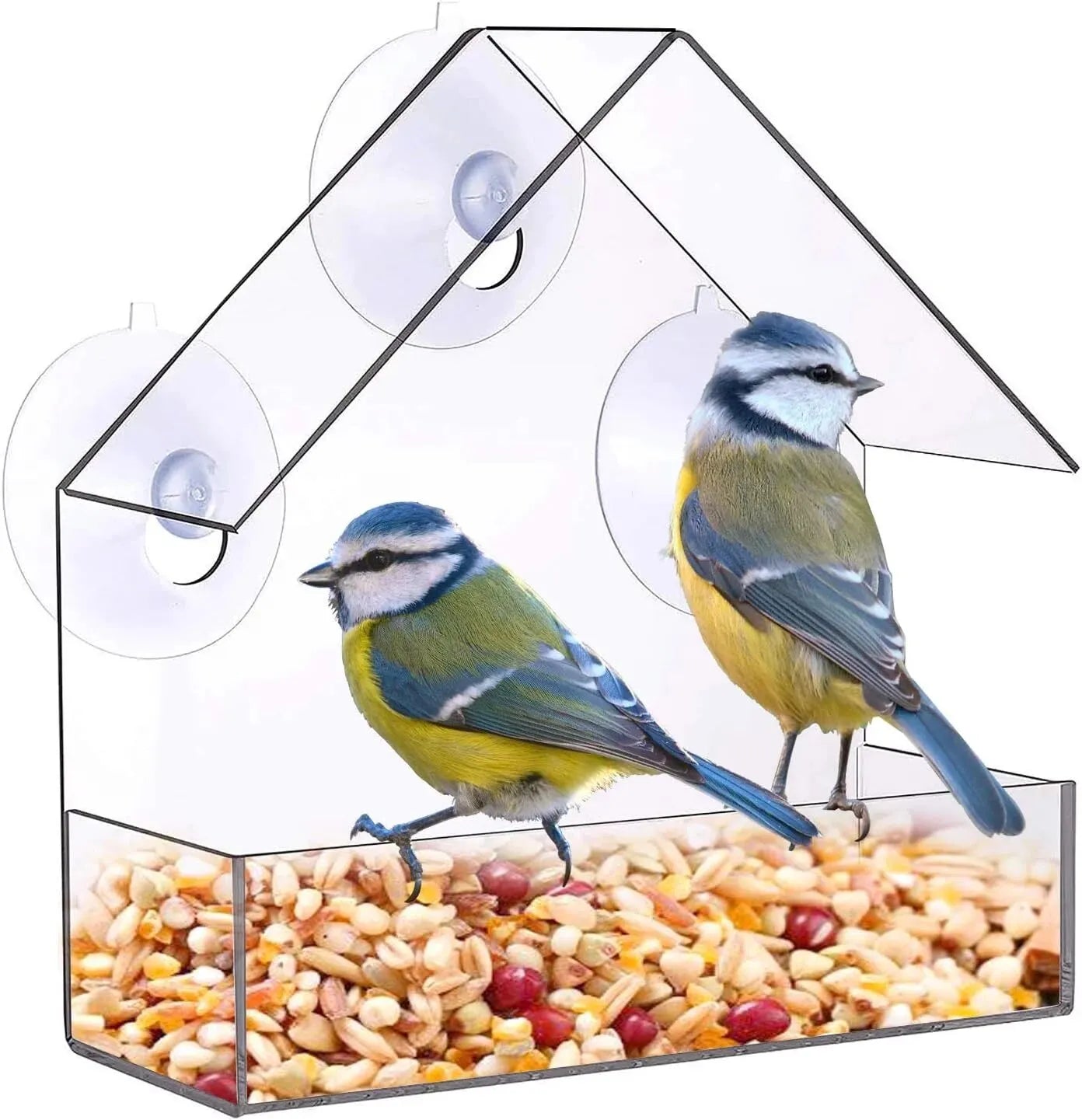 Acrylic bird feeder 