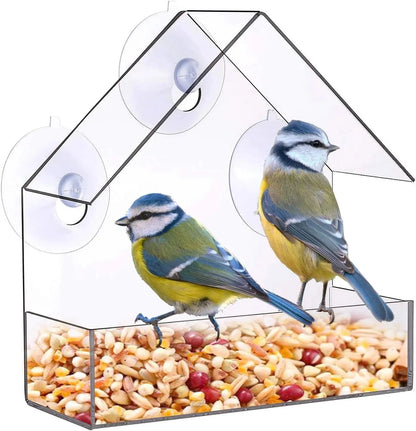 Acrylic bird feeder 
