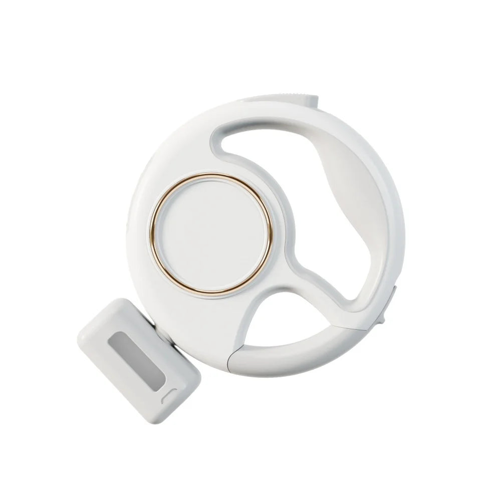 Retractable Leash 
