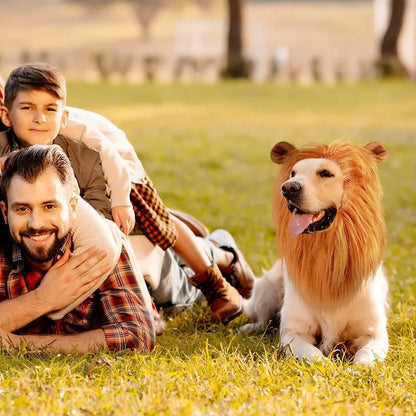 Cute cosplay outfits for pet dogs 