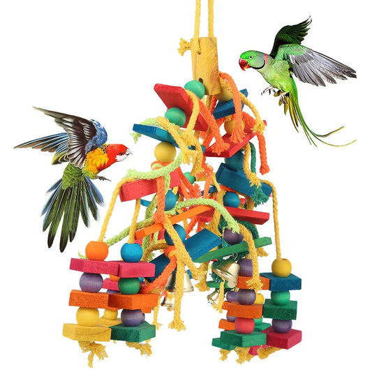Parrot toys 