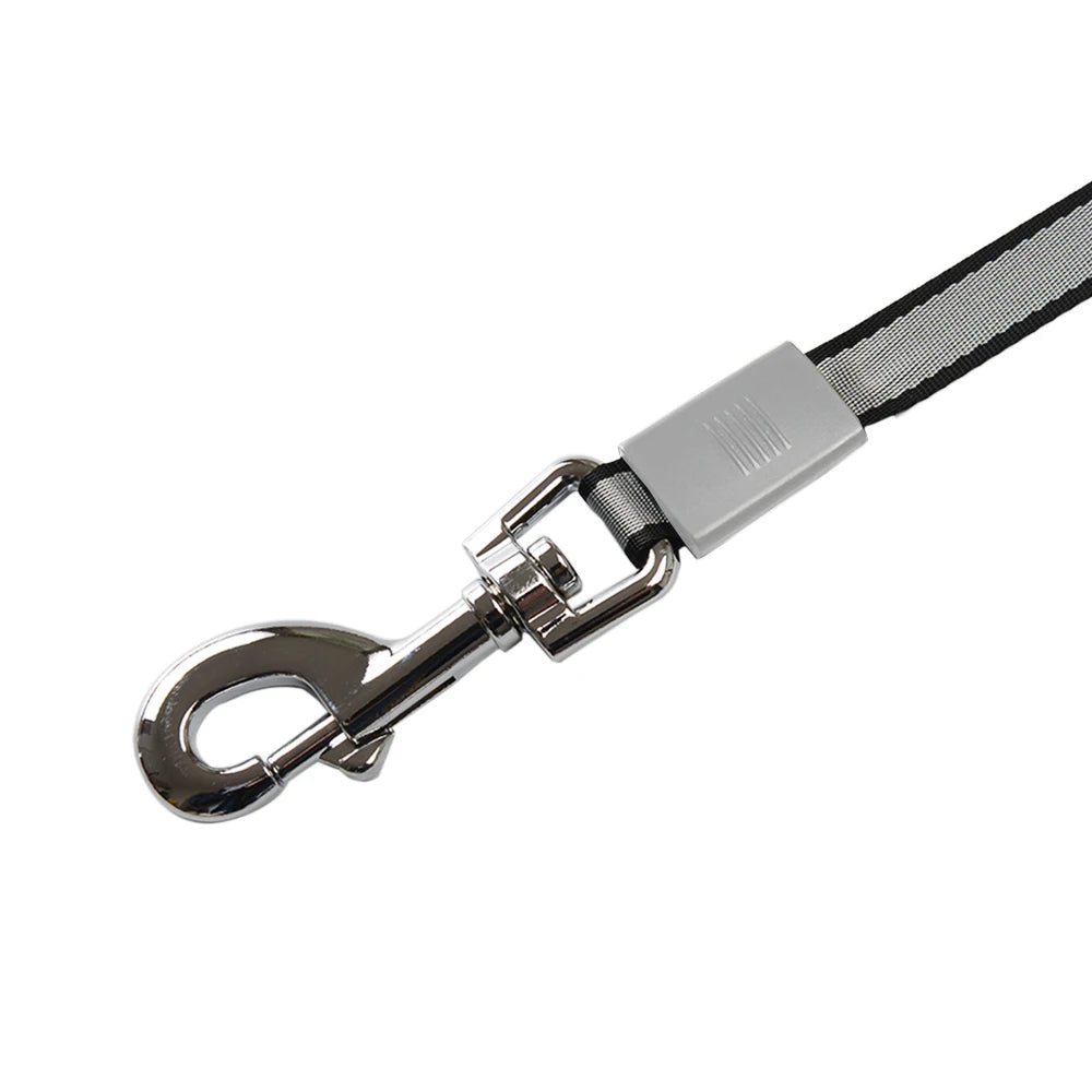 Retractable leash for dog 
