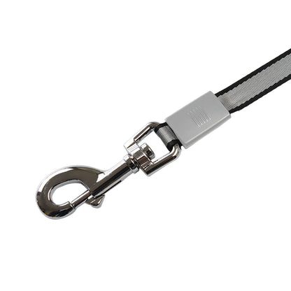 Retractable leash for dog 