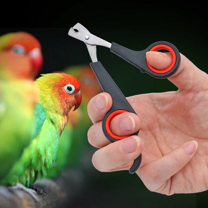 Nail scissors for birds 