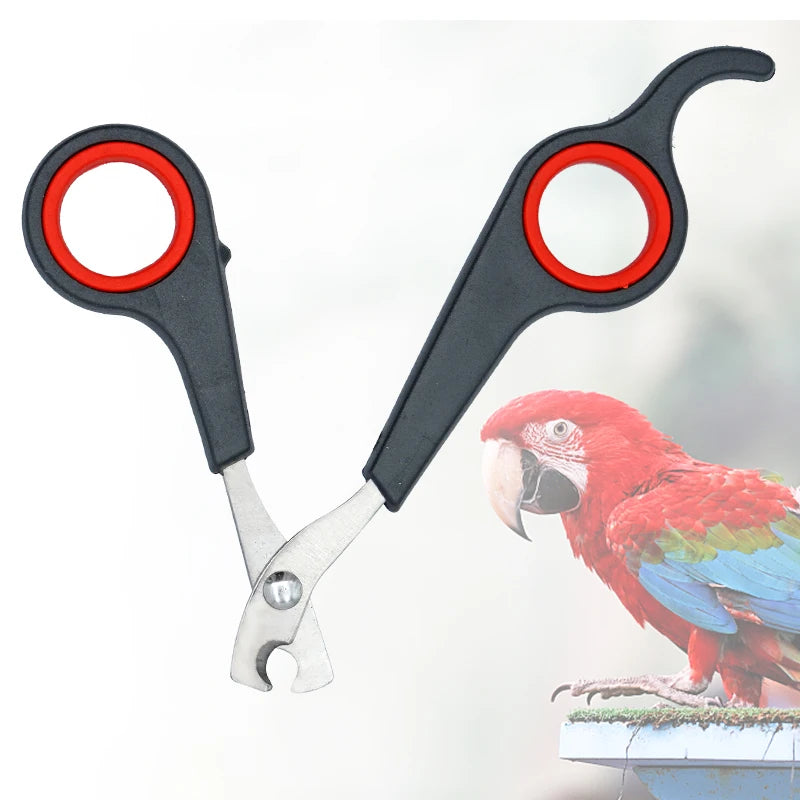 Nail scissors for birds 