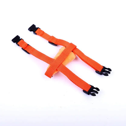 Leash set 