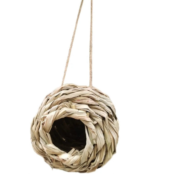 Natural Bird's Nest 