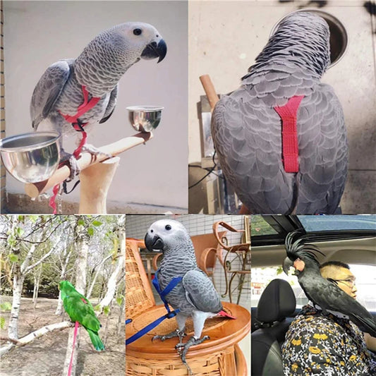 Anti-bite pull rope 