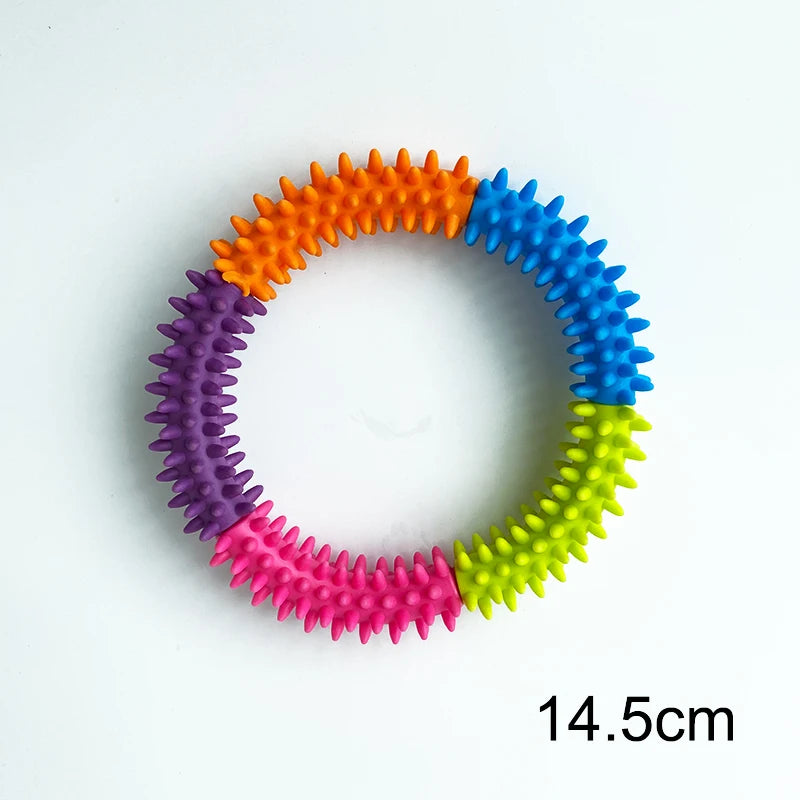 Dog training ring 
