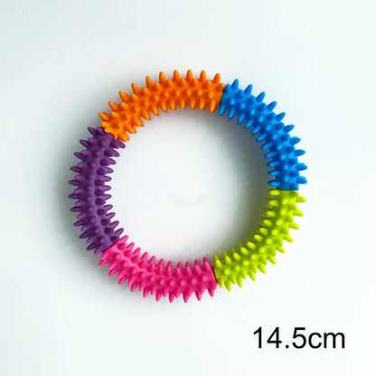 Dog training ring 
