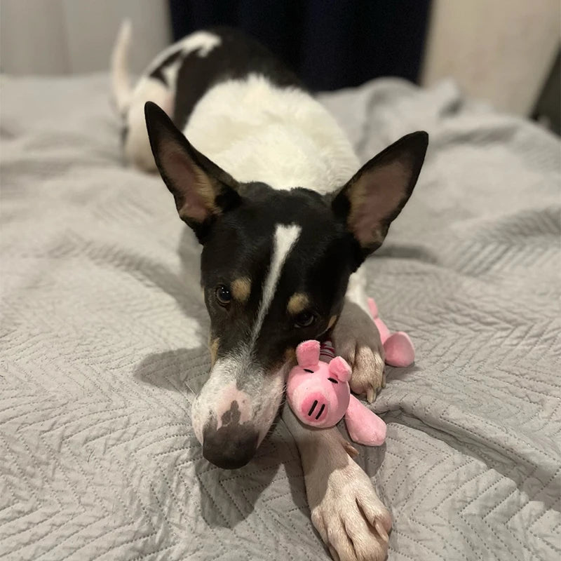 plush toy in the shape of animals for dog 