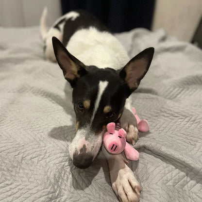 plush toy in the shape of animals for dog 
