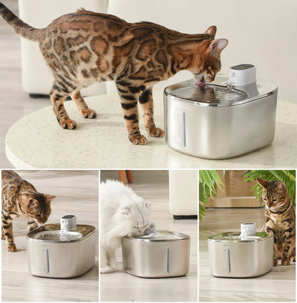 Water Fountain for Cat 