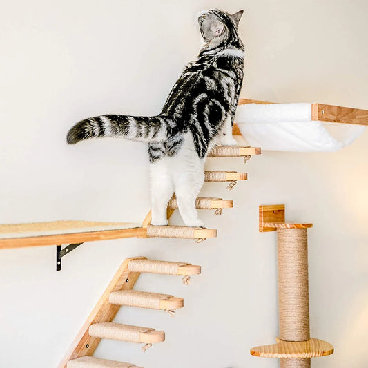 Wall-mounted climbing shelf for cat 