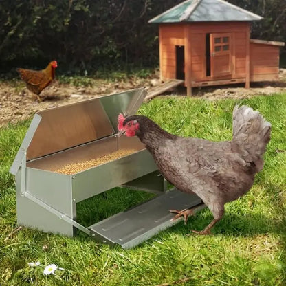Disposable automatic feeder 