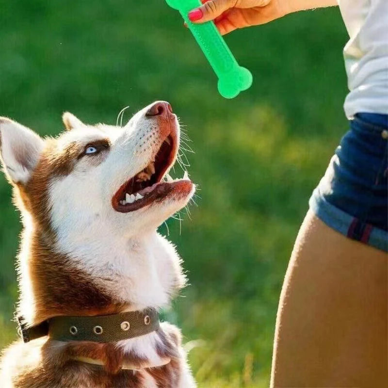 Rubber chew toy for pets 