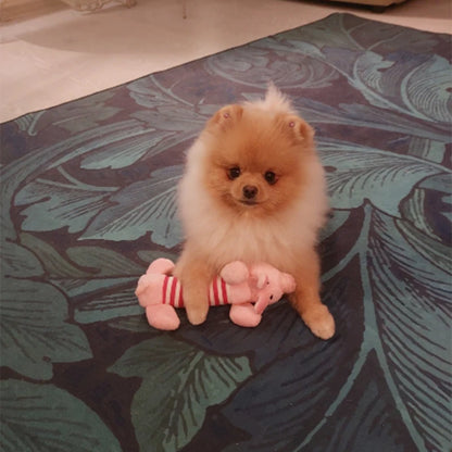 plush toy in the shape of animals for dog 