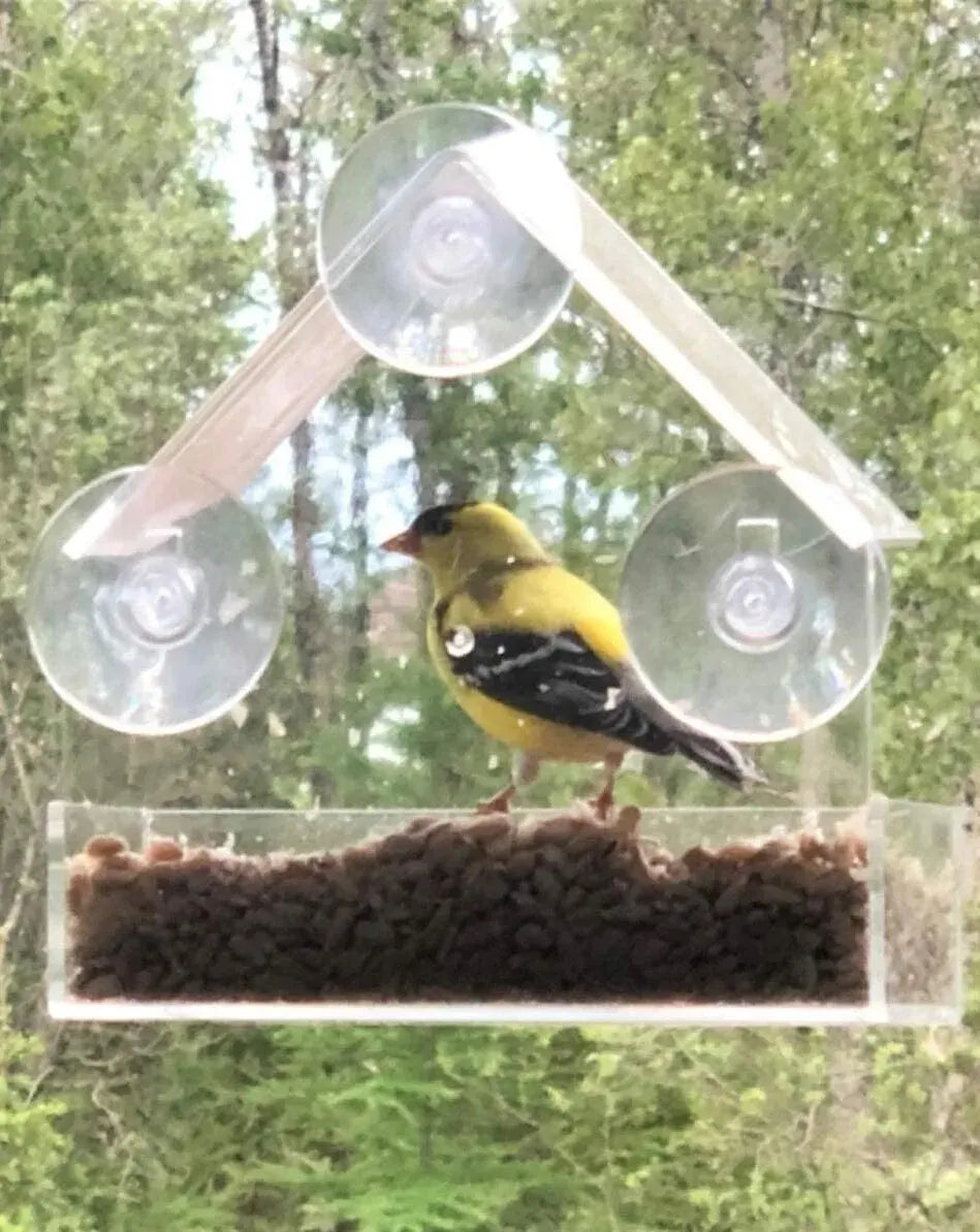 Acrylic bird feeder 