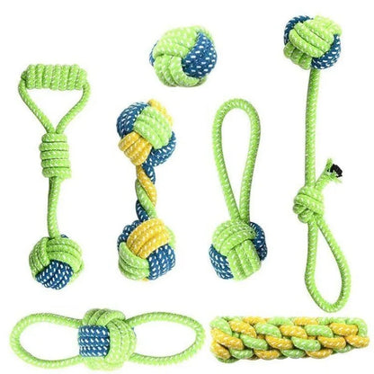 Interactive toys for companion dogs 