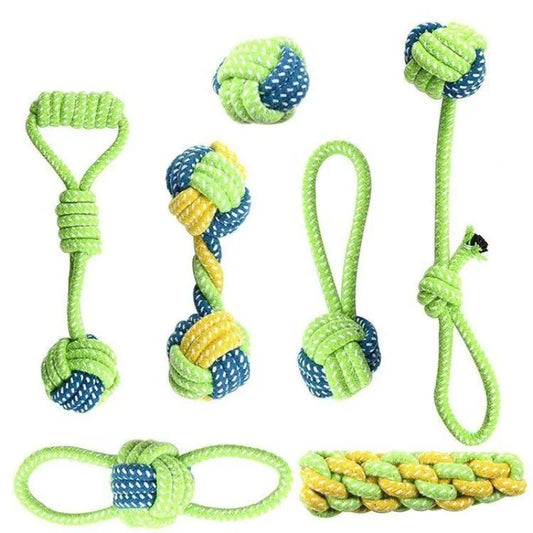 Interactive toys for companion dogs 