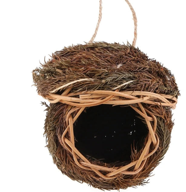 Natural Bird's Nest 