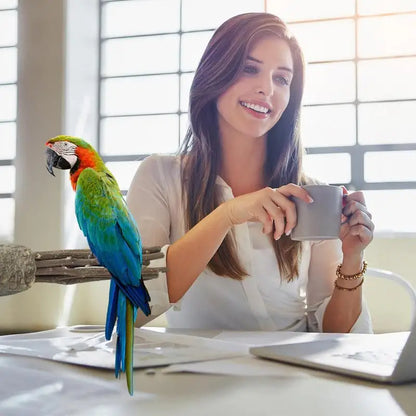 Natural wood parrot stand 