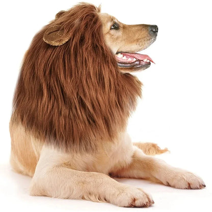 Cute cosplay outfits for pet dogs 