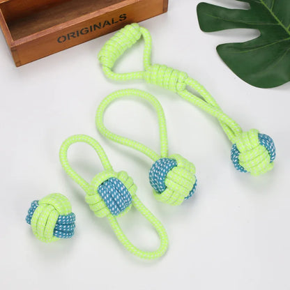 Interactive toys for companion dogs 