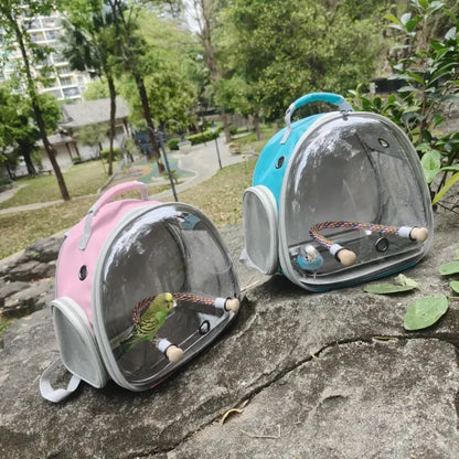 Electrolux portable backpack 