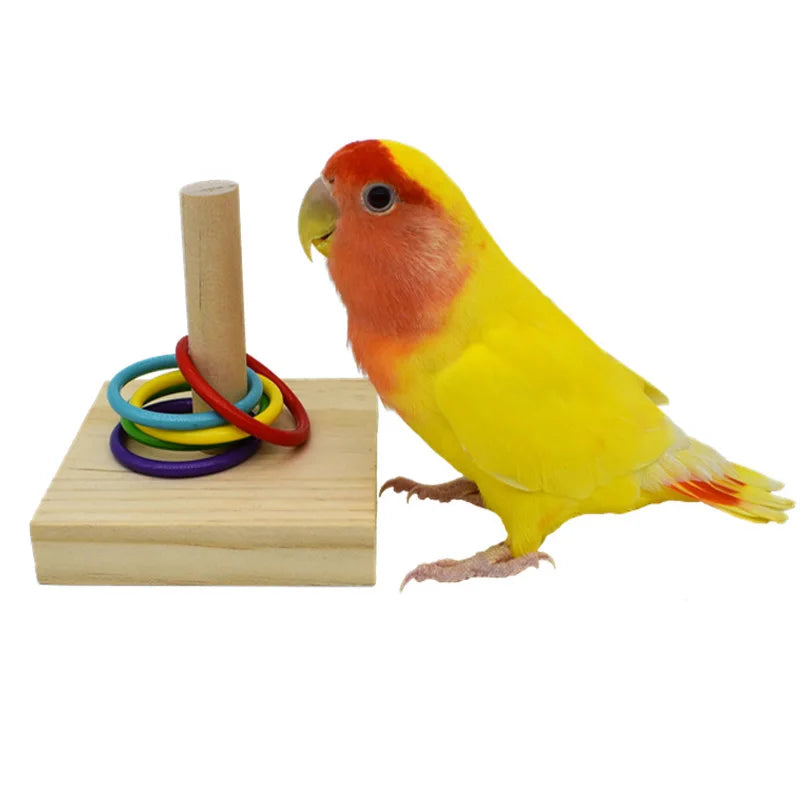 Bird toy set 