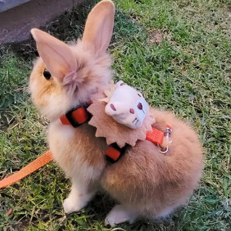 Leash set 