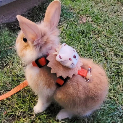 Leash set 