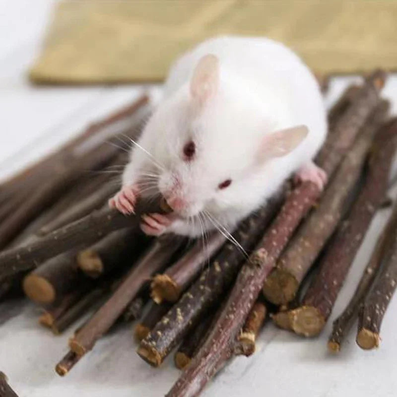 Professional toys for animals 